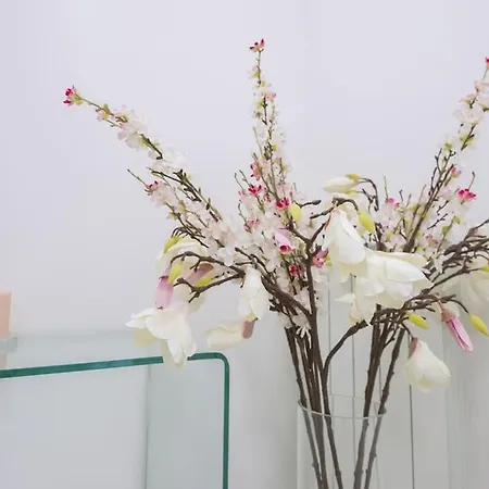 La Dolce - Centro Appartamento Pescara